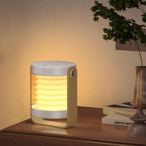 Compact Solar Charging Lamp